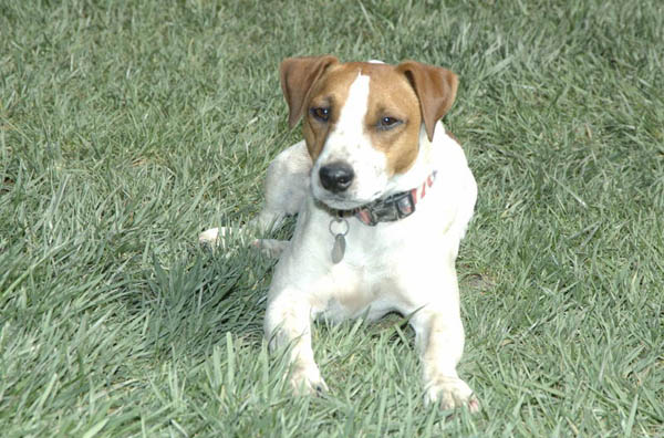 Williams Soaring - VSA Event 2005-03-12 11.36.18DSC_6000 (2)